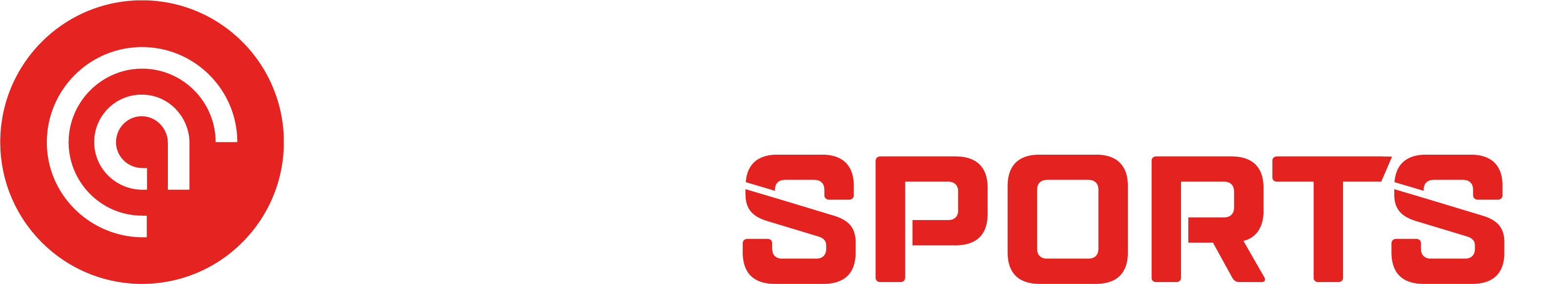Asetek SimSport Logo Horizontal white PNG